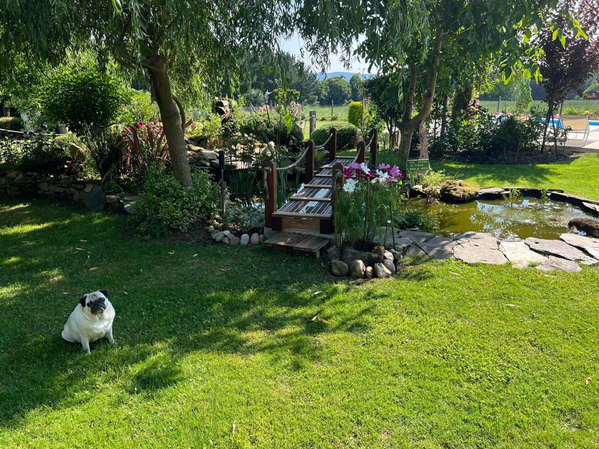 Villa Albaredo Villameá Dış mekan fotoğraf
